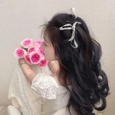 广岛晚秋 海报